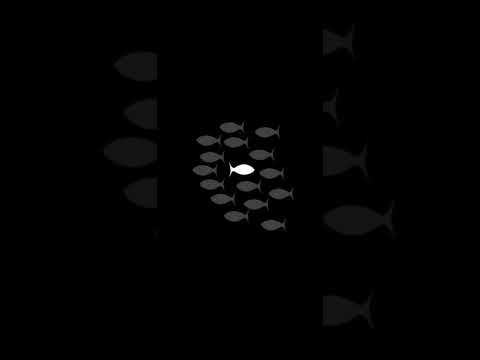 Colisão (playback) Dany Grace e PG