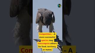 Extinction #Extinction #BiodiversityLoss #GCSEBiology #NaturalSelection #HabitatDestruction