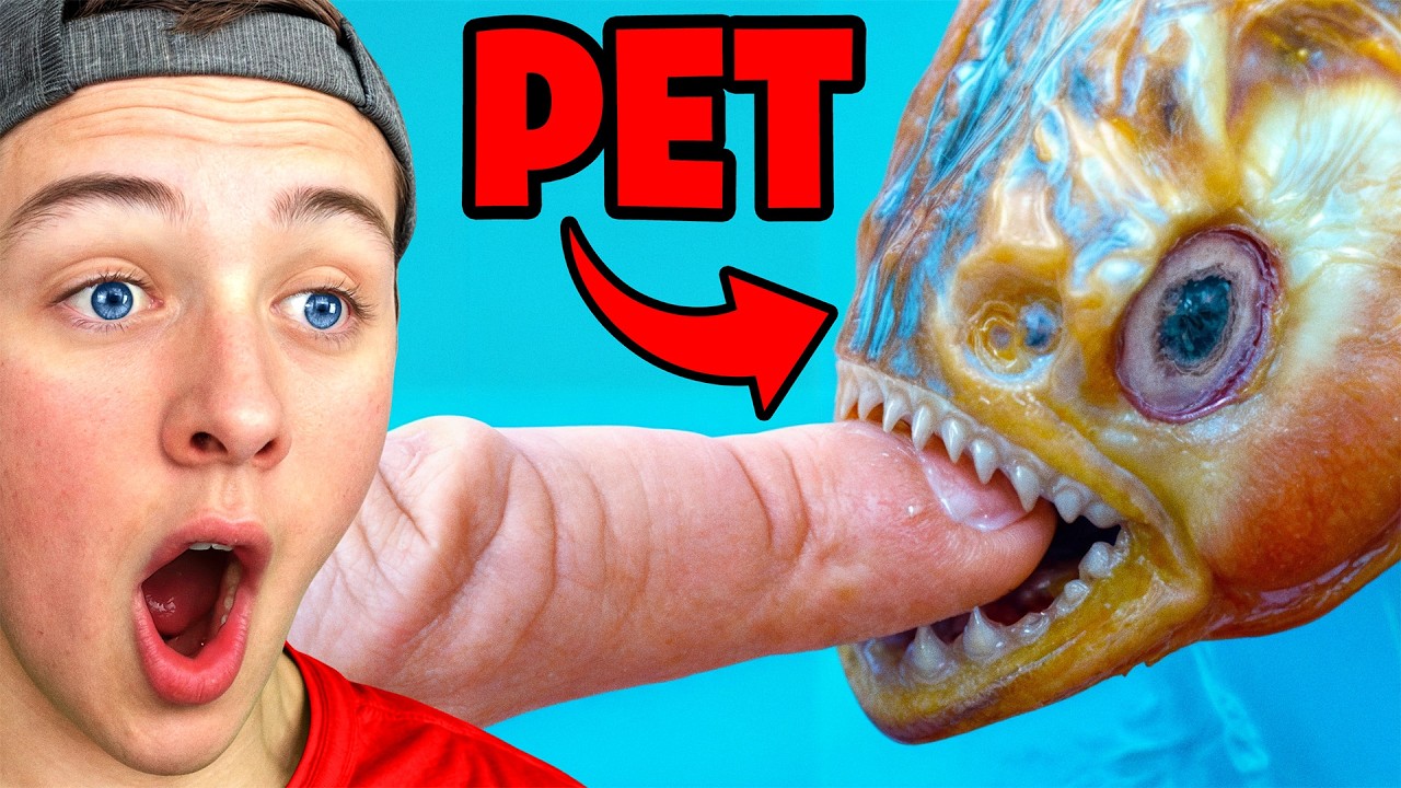 He ADOPTED a PET PIRANHA