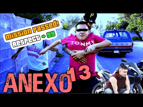 ANNEX 13 │ Christian Meza