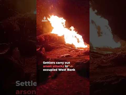 Israeli settlers carry out arson attacks in occupied West Bank | AJ #shorts