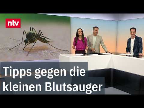 Video Thumbnail: Mücken-Alarm: Was wirklich hilft Teil 1 | ntv