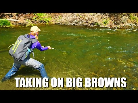 These Big Brown Trout Were a Challenge! How to Catch Big Brown Trout in Small Streams