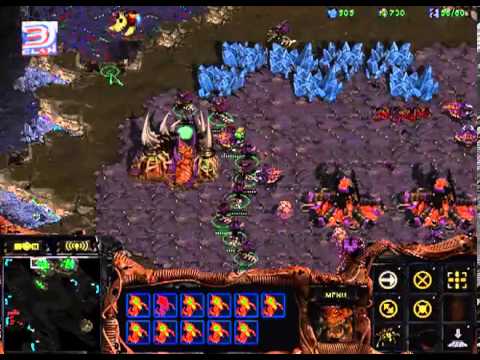StarCraft Brood War [FPVOD] Notforu vs Mistrzzz