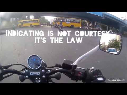 Daily Observations #5 | Bad Drivers | Squid | Road Rage | Avenger 150