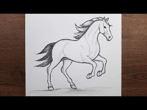 How to draw a horse - Easy horse drawing - Animal drawing tutorial step by step