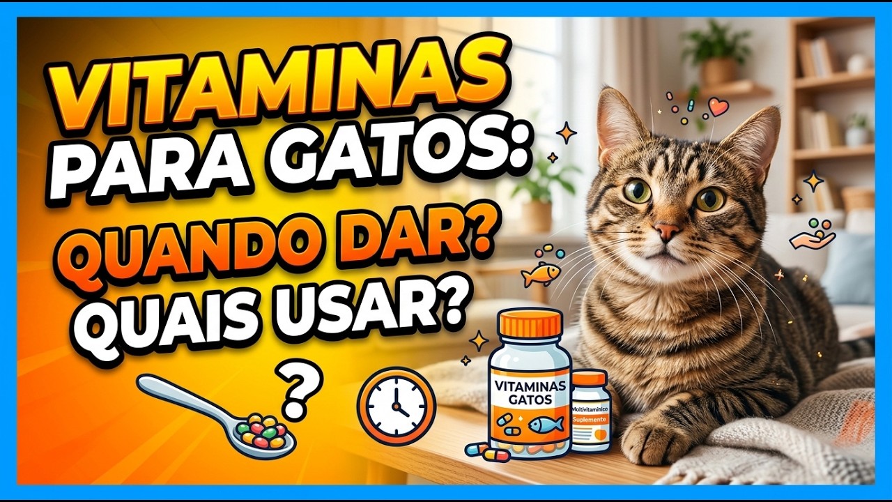 ✅ VITAMINAS PARA GATOS - Gatil Hauser