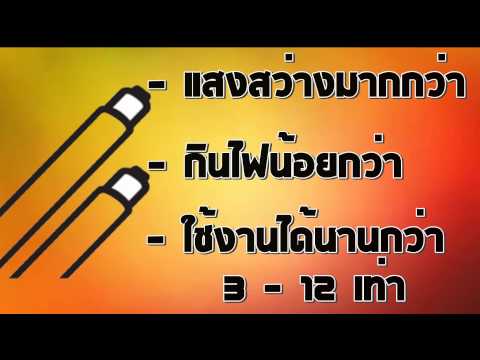 ซื้อกาแฟแรง พืชไซบีเรียแรง