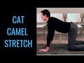 Cat camel exercise cat camel stretch cat and camel by chiropractor in Toronto Dr. Byron Mackay