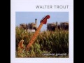 Walter Trout May be a Fool
