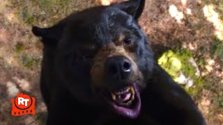 Cocaine Bear (2023) - Eaten Alive in the Tree Scen