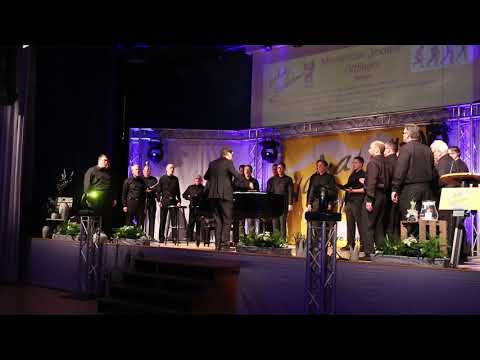 VocalArt Ottfingen - Human (Rag'n'Bone Man)