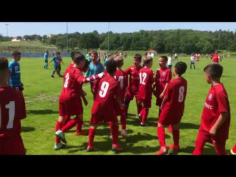 Turnir Porec / 2019 Red Star Penzing David Vrljanski