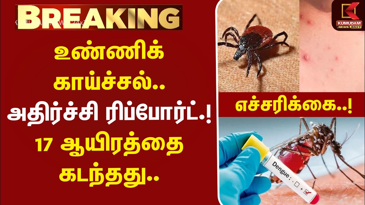 BREAKING : உண்ணிக்காய்ச்சல்..அதிர்ச்சி Report..! | Dengue Fever | Scrub Typhus | Chennai | Tamilnadu