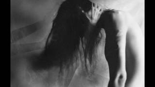 Video ShyArtist - Sorry čeští básníci