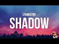 Livingston - Shadow (Lyrics) 