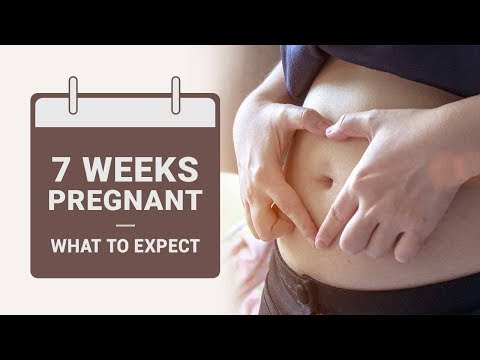 7 Week Pregnant - What to Expect?