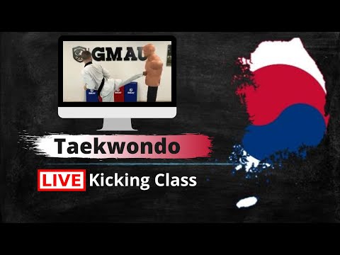 Taekwondo LIVE Basic Kicks + Kick Combos Class thumbnail