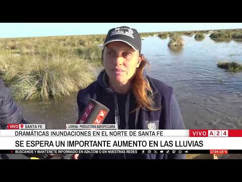 🔴 DRAMÁTICAS INUNDACIONES EN EL NORTE DE SANTA FE: PRODUCTORES INTENTAN SALVAR A SUS ANIMALES