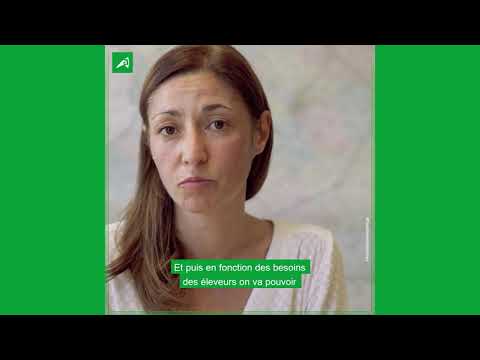 Les métiers de la Chambre d'agriculture : Stéphanie, chargée de projet en élevage bovin lait