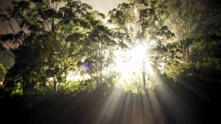 Splendour in the Grass 2011