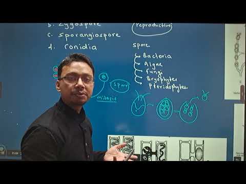 CEE 2081 MEMORY BASED QUESTIONS; Part :24 (UNIT: BASIC COMPONENT OF LIFE AND BIODIVERSITY)