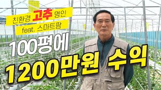 [고추 이야기] 오일섭 Chapter1 스마트팜 친환경 고추 명인 100평에 1200만원 수익을 올리기 까지…