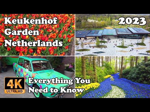 Keukenhof Gardens Netherlands Drone, Walking - Everything You Need to Know in 4K