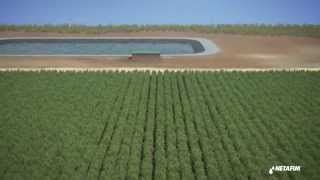 Installing subsurface drip irrigation for Sugar cane