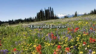 See Saw - Emerald Green (with lyrics romaji/english)