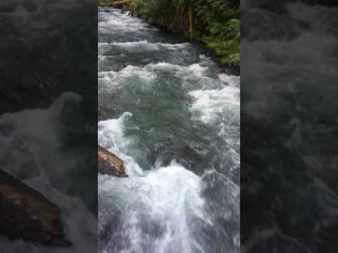 Video of the river we were camping directly next to. It's a pretty intense river so take caution when filtering water! 