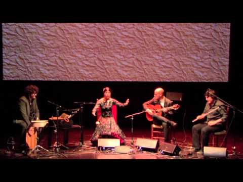 Cristina Soler - Tangos de Graná - Alcobendas Flamenca 2014 HD