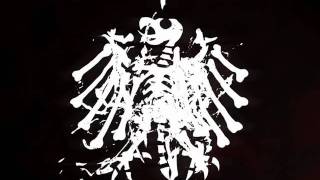 DTH - Alles ist eins