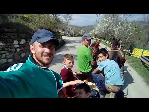 NE PLIMBAM CU TRASURA.😂😂CHIOJDEANCA😂