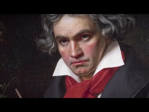 Douku & Reportage - Beethoven Privat