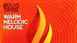 Video thumbnail for House Samples and Loops - Warm Melodic House by Bound To Divide by Black Octopus Sound