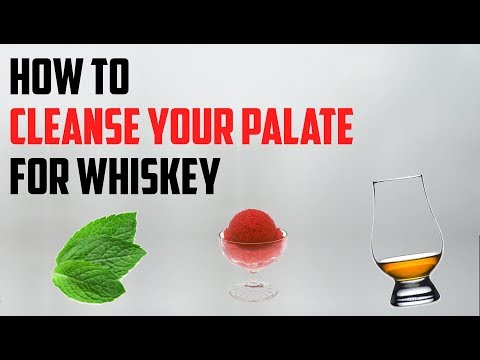 download lagu mp3 mp4 Cleanse Your Pallet, download lagu Cleanse Your Pallet gratis, unduh video klip Cleanse Your Pallet