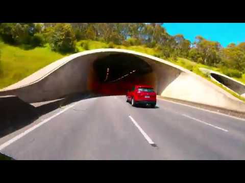 Strath Day Trip 20/10/19