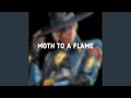Moth to a Flame