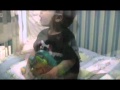 Pedro Cantando Galinha Pintadinha Wmv