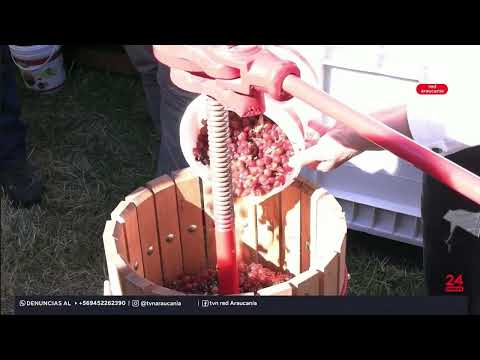 VENDIMIA  NOHUALHUE  RED ARAUCANIA TVN 