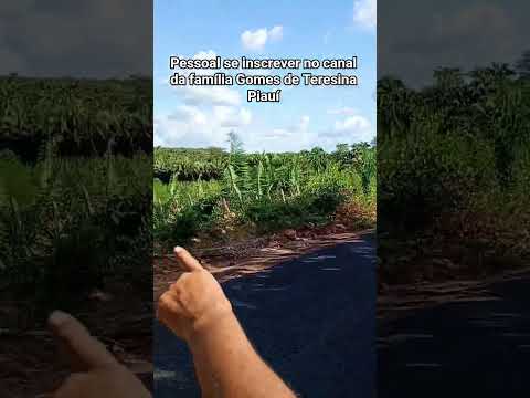 família Gomes de Teresina Piauí