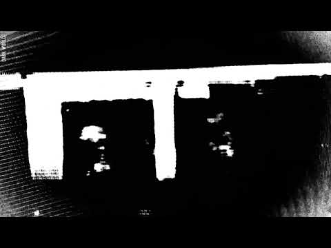 BRAN & NewRoad & DVNAIR - The Motto (ft. HALUNA)