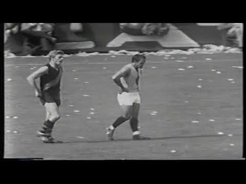 1969 Grand Final Sturt 24.15 159 d Glenelg 13.16 94