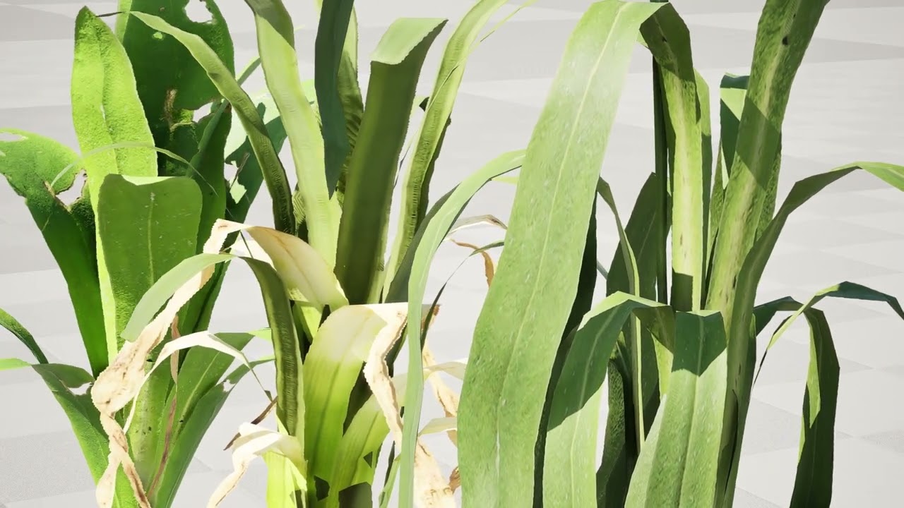 Cole&ccedil;&atilde;o de plantas de alho-por&oacute; da Flandres Modelo 3D