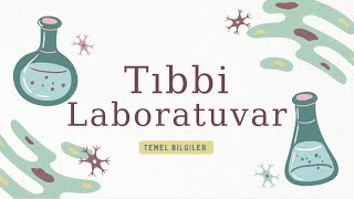 Tıbbi Laboratuvar Temel Bilgiler | Kan tüpleri, Pıhtı, Hemoliz, Kan te