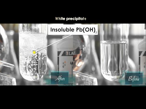 What happens when lead nitrate (Pb(NO3)2) react with potassium hydroxide (KOH)? | KOH+Pb(NO3)2