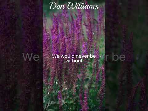And So It Goes - Don Williams