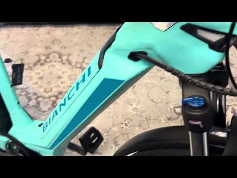 Bianchi E Omnia C Type (belt drive)