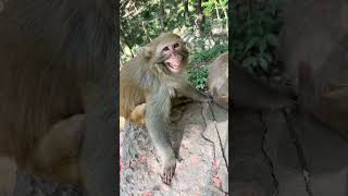 Download lagu Ini Parah Ni Tenang-tenang #shorts #viral #ngakak mp3 Download lagu Ini Parah Ni Tenang-tenang #shorts #viral #ngakak mp3